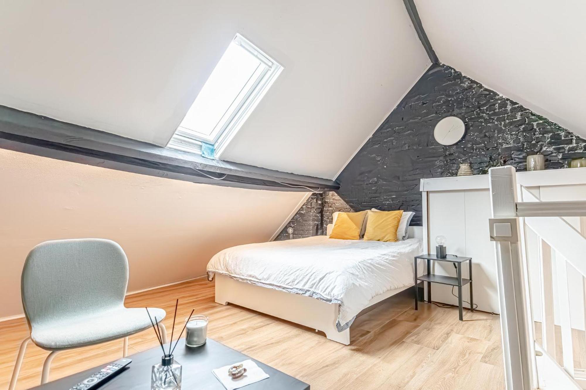 Spacious Shared 5Br Apt In The Heart Of Gent Buitenkant foto